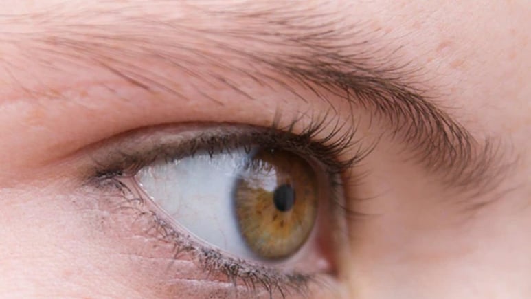 आइब्रो को घना और सुंदर बनाना है तो इस तेल करें इस्तेमाल, घनी हो जाएंगी भौहें