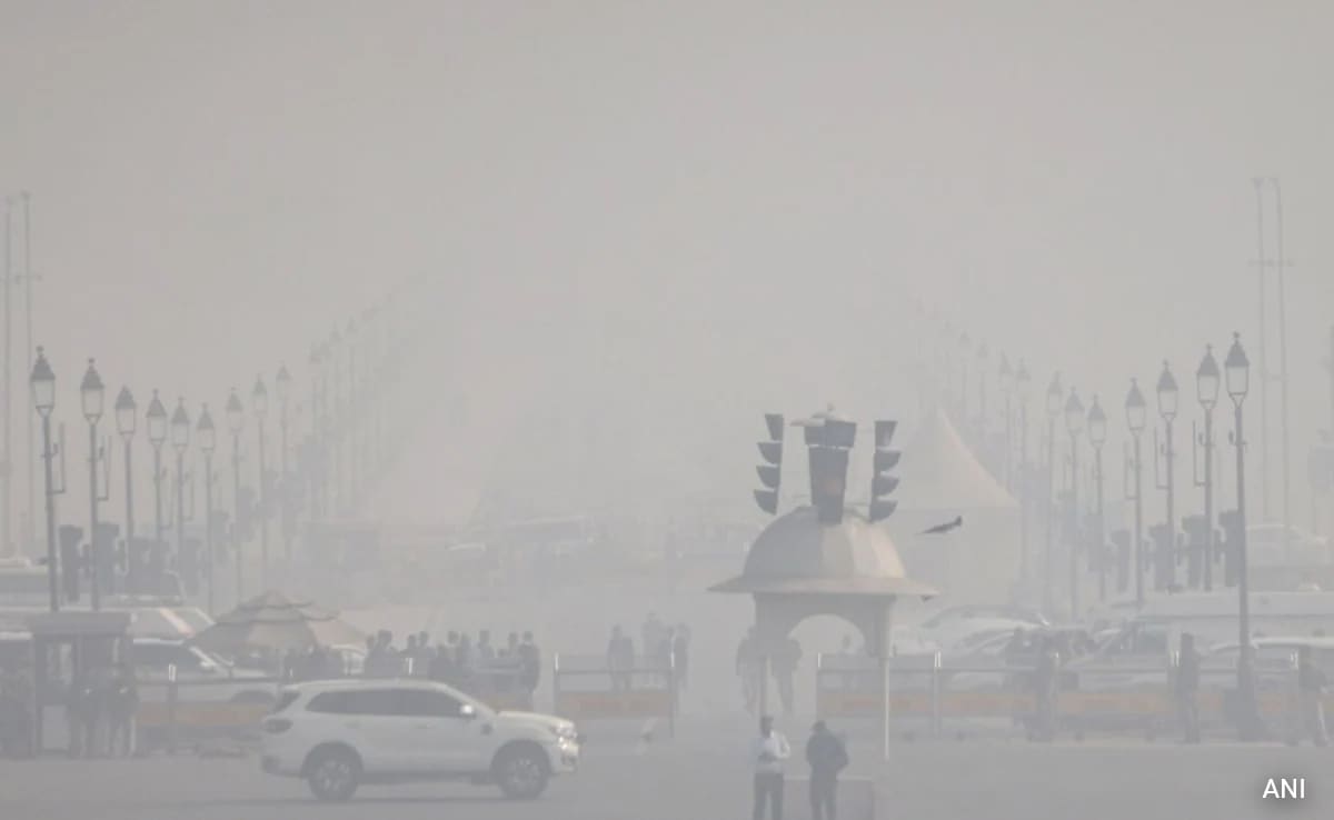 228 Flights Cancelled Due To Dense Smog In Delhi