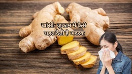 Adrak ke Fayde: सर्दियों का सुपरस्टार है अदरक! ठंड को भगाने के लिए सौंठ वाला दूध और 'तुलसी काढ़ा है अचूक फॉर्मूला