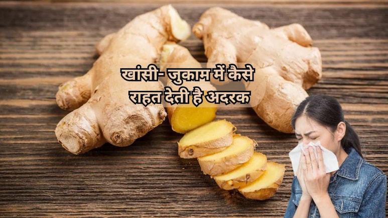 Adrak ke Fayde: सर्दियों का सुपरस्टार है अदरक! ठंड को भगाने के लिए सौंठ वाला दूध और 'तुलसी काढ़ा है अचूक फॉर्मूला