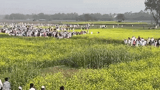 'हमें सवाब मिलेगा', हुमायूं कबीर के बाबरी वाले प्लॉट में जुमे की नमाज में उमड़ी हजारों की भीड़