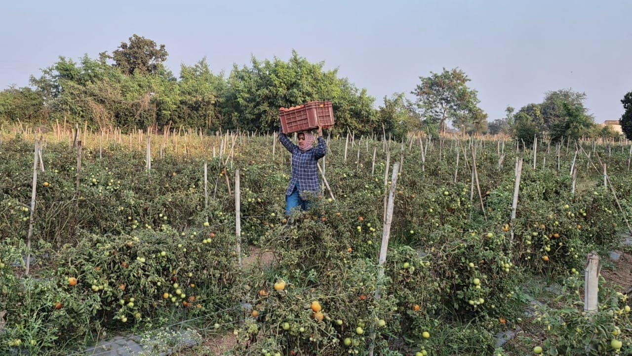 Latest and Breaking News on NDTV Latest and Breaking News on NDTV