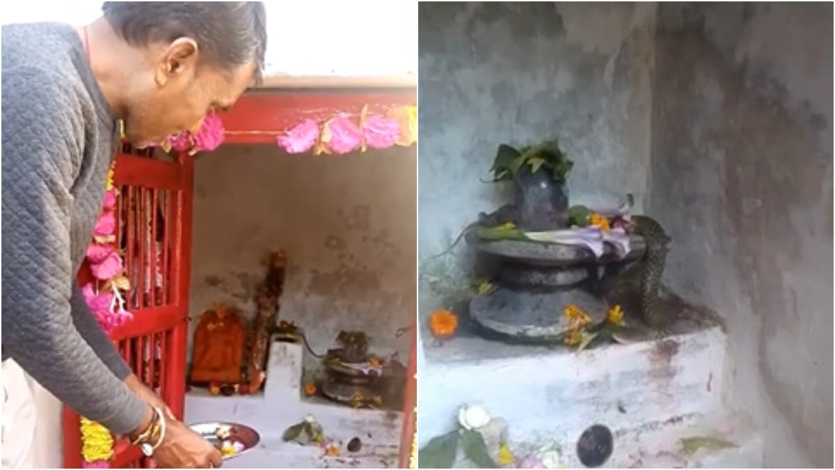 पुजारी समेत गांव के लोगों ने की पूजा.