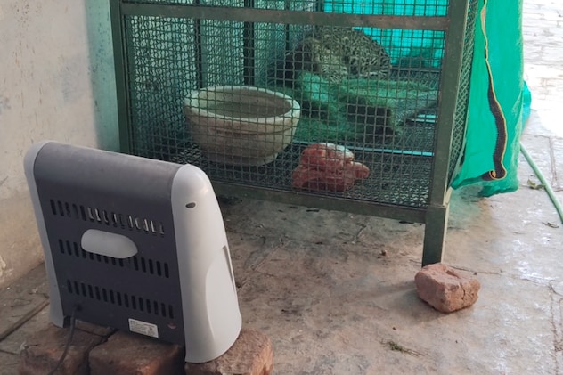 एंक्लोजर्स में हीटर लगाए गए हैं. एंक्लोजर्स में हीटर लगाए गए हैं.