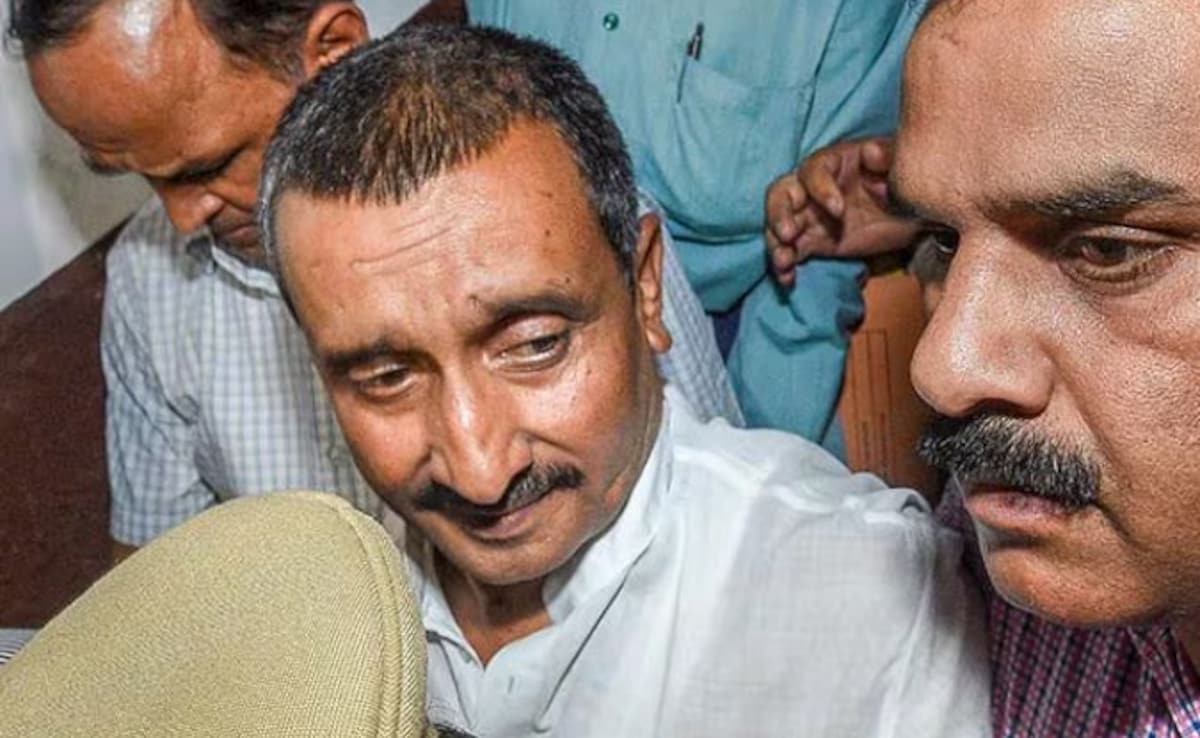 The Art of Baking: From Classic Bread to Artisan Pastries