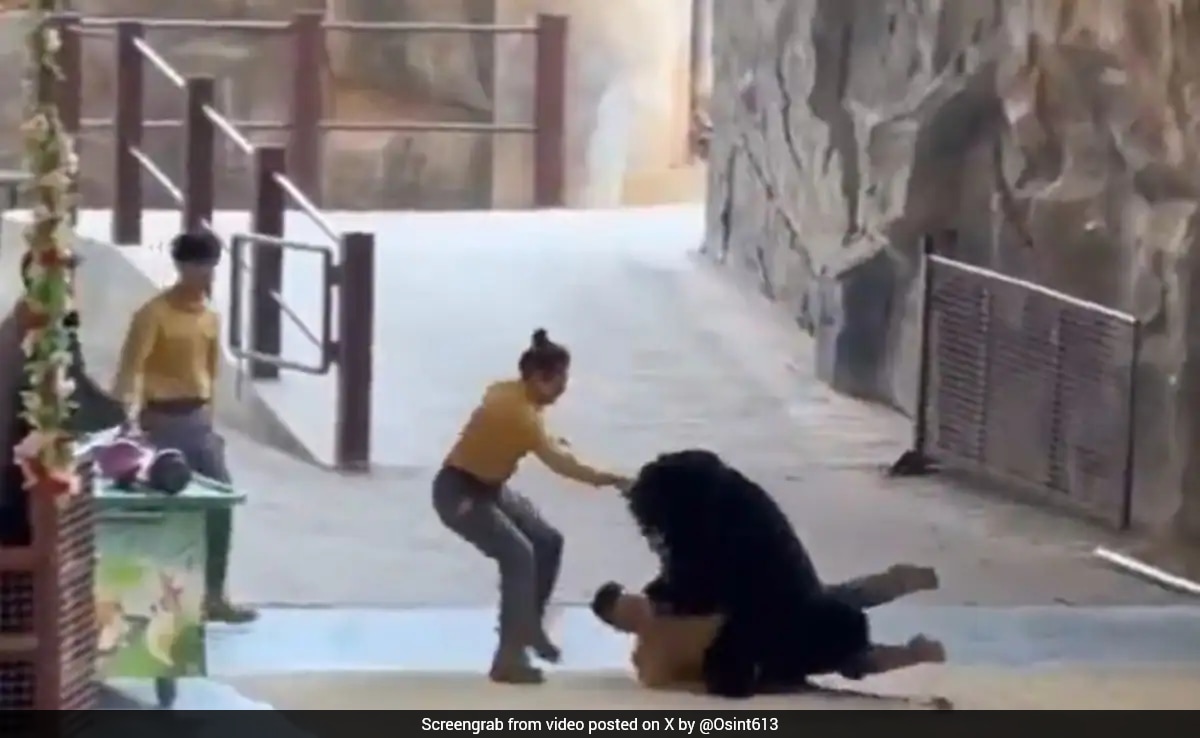 Video: Black Bear Attacks Zookeeper During Safari Park Show In China