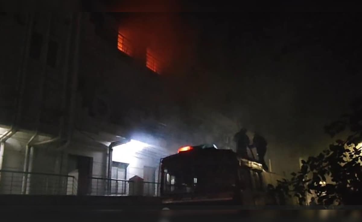 Woman Officer Dies In Fire At LIC Office In Madurai, Another Injured