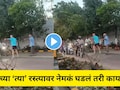 Pune News: थोडी तरी लाज बाळगा! परदेशी पाहुण्यांनी पुणेकरांना रस्त्यावरच रोखलं, Video होतोय व्हायरल