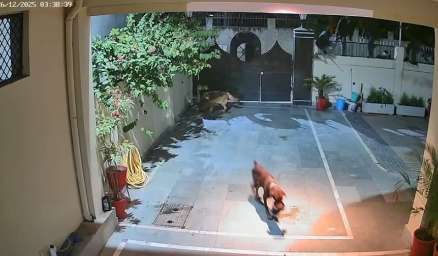 Latest and Breaking News on NDTV Latest and Breaking News on NDTV