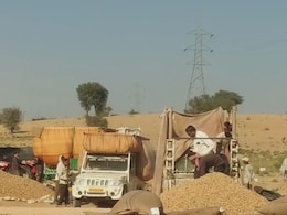 Rajasthan: श्री डूंगरगढ़ में मूंगफली के किसानों में मचा हाहाकार, पोर्टल बंद होने से भुगतान रुका