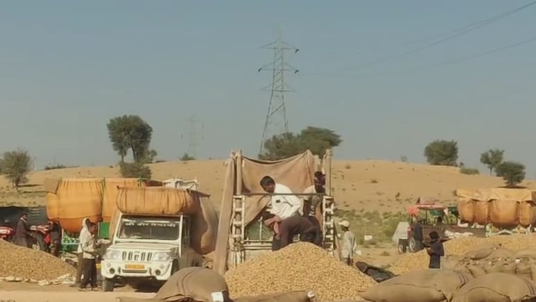 Rajasthan: श्री डूंगरगढ़ में मूंगफली के किसानों में मचा हाहाकार, पोर्टल बंद होने से भुगतान रुका