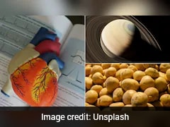 15 Mind-Blowing Facts Of 2025: A Year Of Scientific Breakthroughs