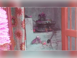 Snake Video: शिवलिंग से तीन घंटे लिपटे रहे नागदेवता, नजारा देख लोग हैरान, रायसेन के गांव में उमड़ा श्रद्धा का सैलाब