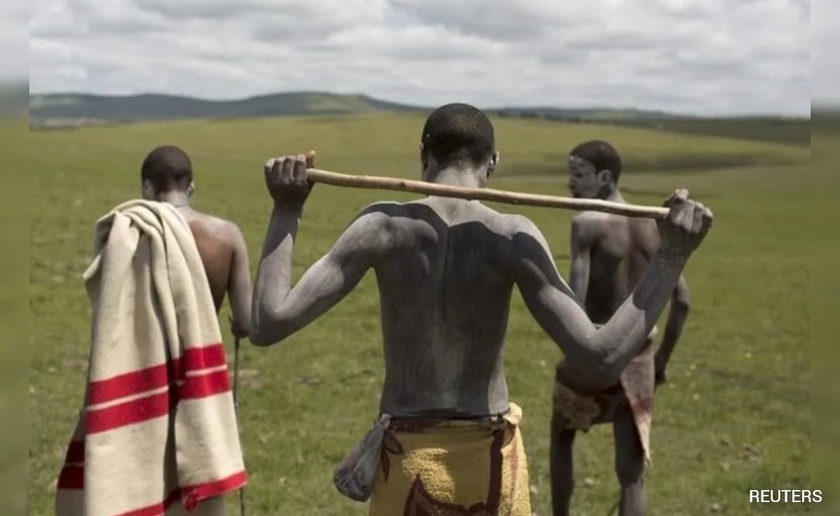 The Art of Baking: From Classic Bread to Artisan Pastries