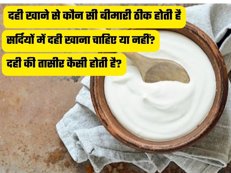 सर्दियों में रोज दही खाने से कौन सी बीमारी ठीक होती है? दही की तासीर ठंडी होती है या गर्म