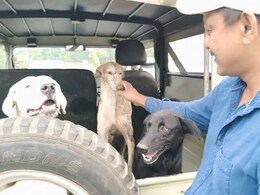 कर्नाटक के जंगल में खो गई 2 साल की बच्ची, आसपास घूम रहे थे शेर, पालतू कुत्ते ने ऐसी बचाई जान