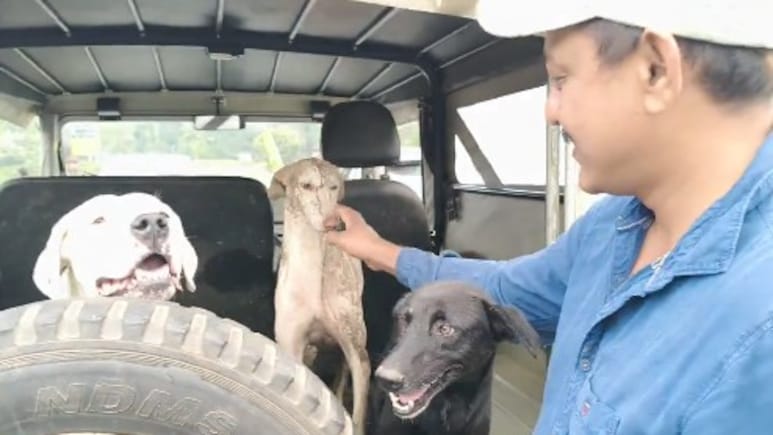 कर्नाटक के जंगल में खो गई 2 साल की बच्ची, आसपास घूम रहे थे शेर, पालतू कुत्ते ने ऐसी बचाई जान