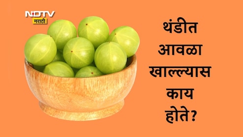 Amla Benefits: आवळा हे हिवाळ्यातील सुपरफुड का मानले जाते? थंडीत आवळा खाल्ल्यास काय होते? वाचा 5 फायदे Amla Benefits: आवळा हे हिवाळ्यातील सुपरफुड का मानले जाते? थंडीत आवळा खाल्ल्यास काय होते? वाचा 5 फायदे