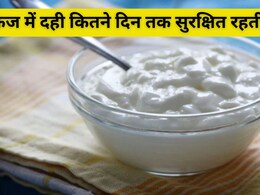 फ्रिज में रखी दही कितने बाद नहीं खानी चाहिए? जानें स्टोर करने का सही तरीका क्या है