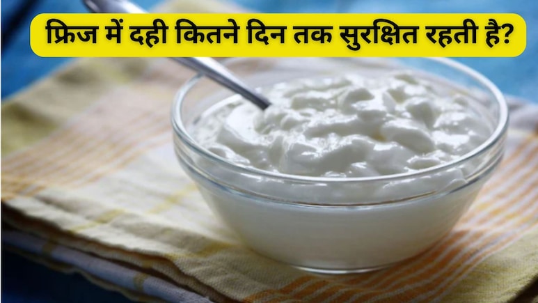 फ्रिज में रखी दही कितने बाद नहीं खानी चाहिए? जानें स्टोर करने का सही तरीका क्या है