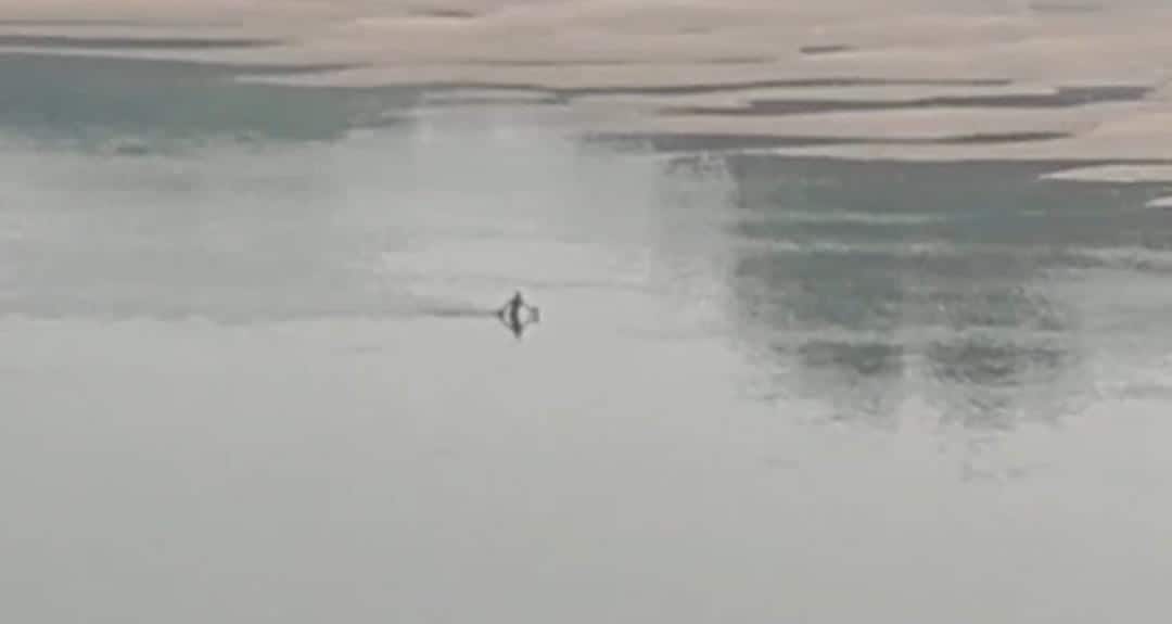 Bhind Student Suicide Case 