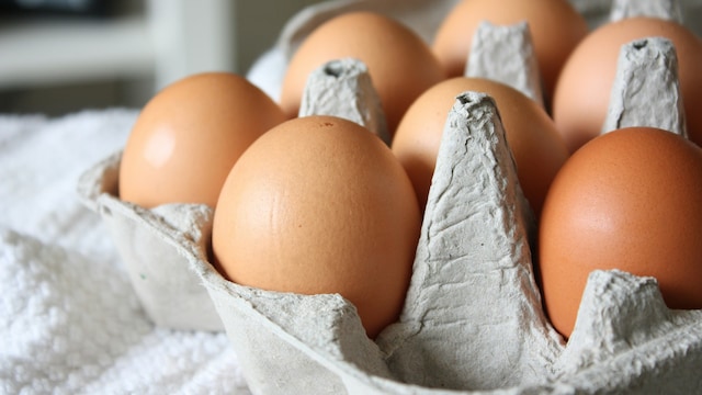 Eggs are rich in choline
