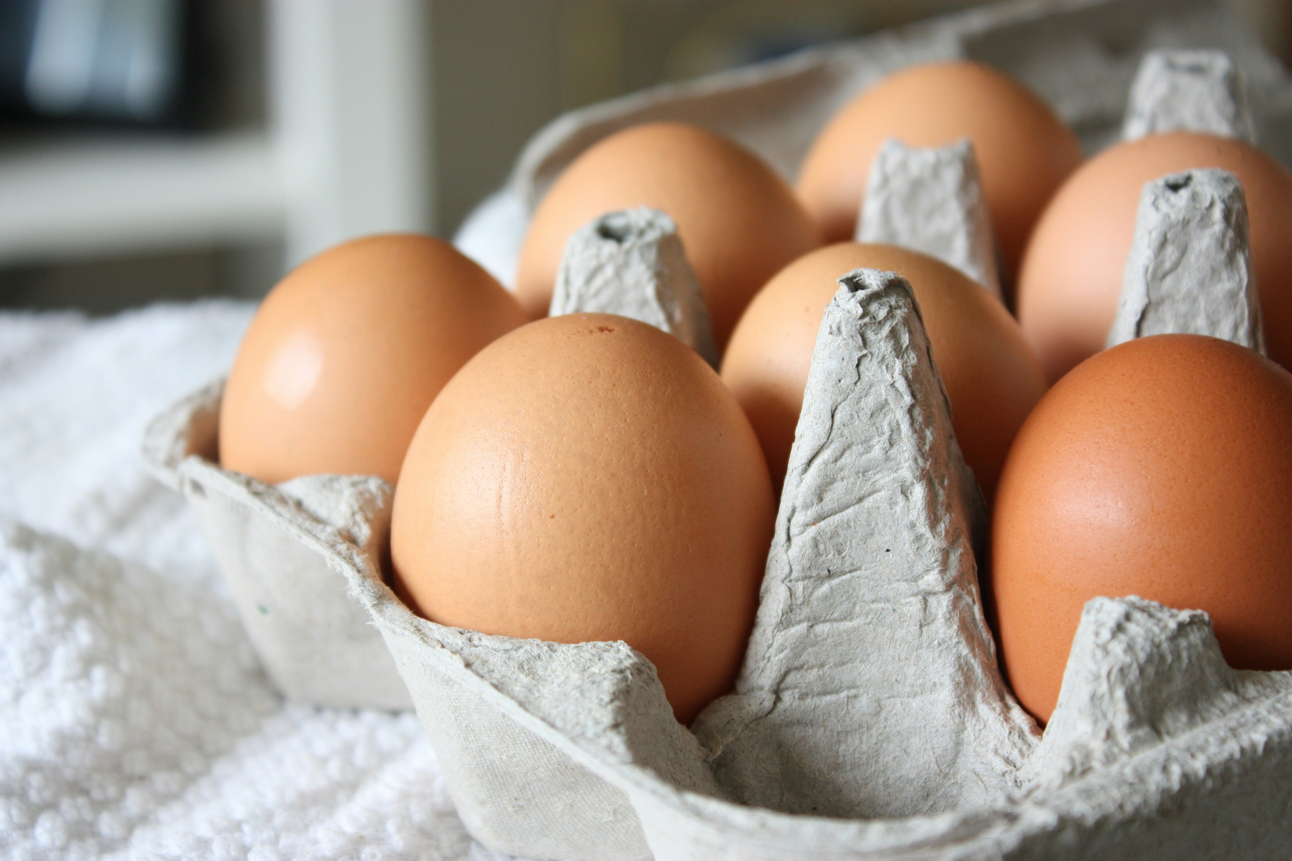 Eggs are rich in choline