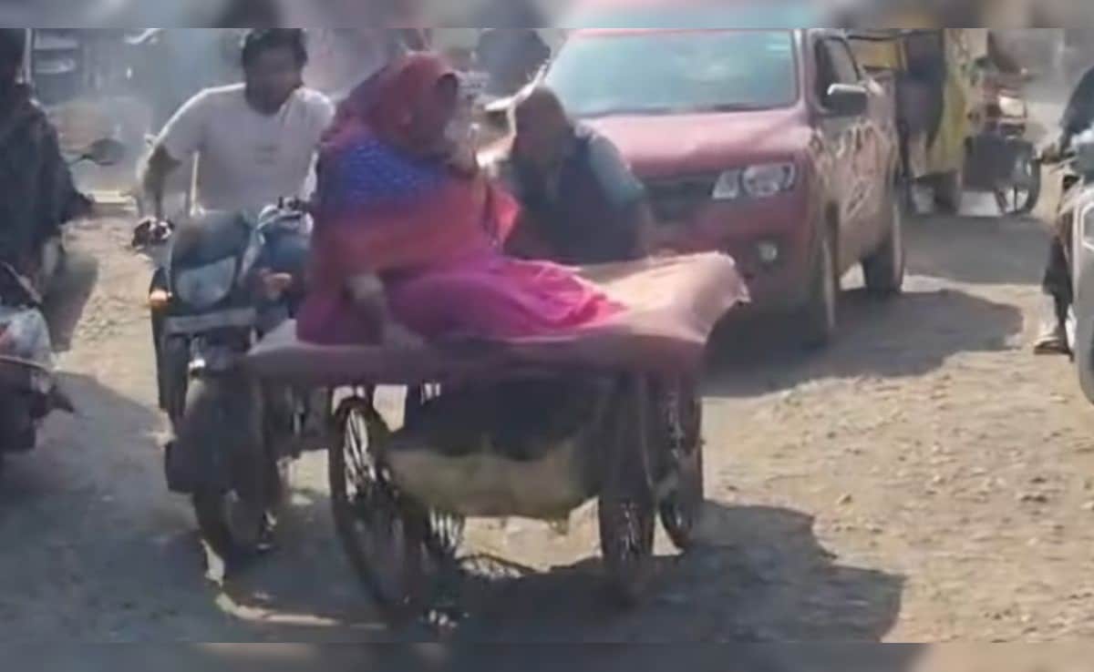 Elderly Madhya Pradesh Man Takes Ailing Wife To Doctor On Handcart