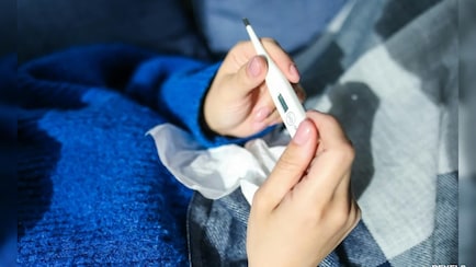 West Nile Fever Detected In Kerala Amid Shigella Alert: See Symptoms