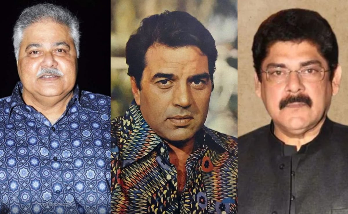 Year Ender 2025: महाभारत का अर्जुन से बॉलीवुड के ही-मैन तक...इस साल इन कलाकारों की मौत ने फैंस को खूब रुलाया