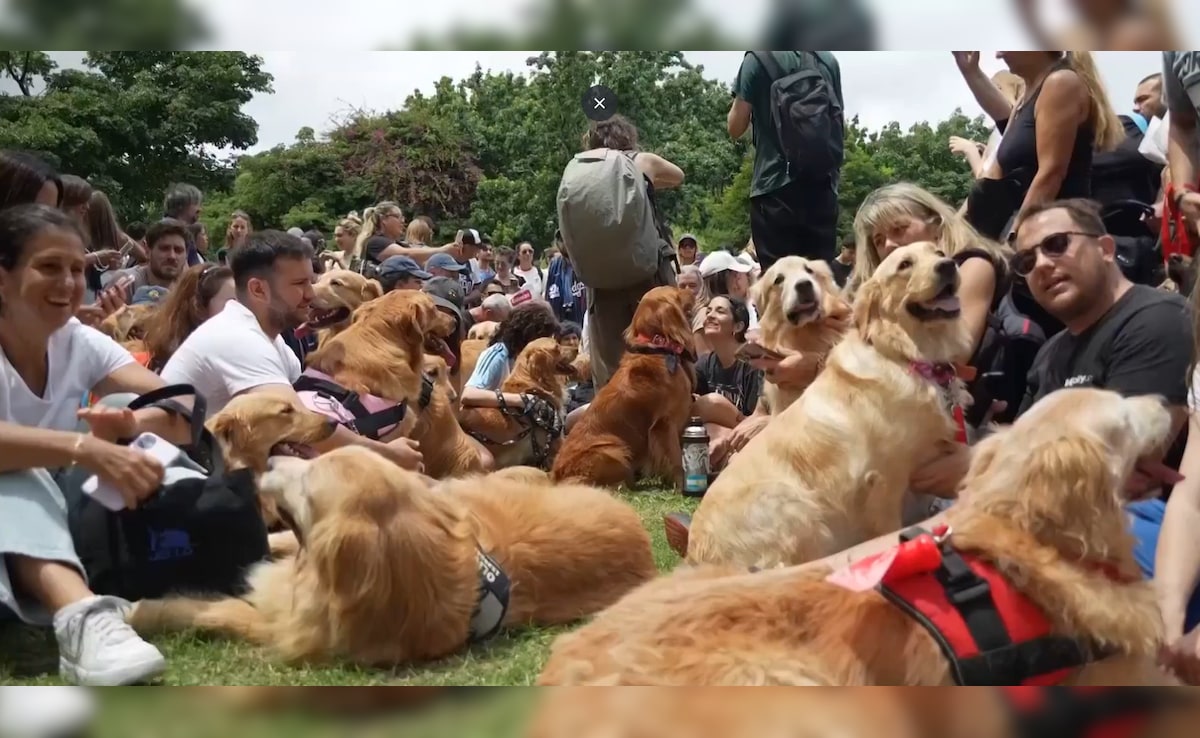 Access Denied Access Denied