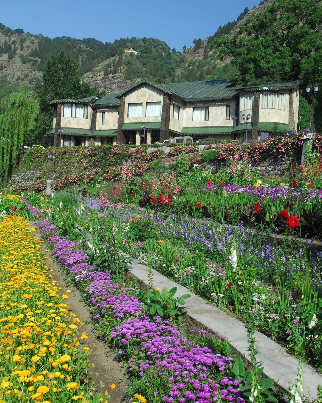 Latest and Breaking News on NDTV