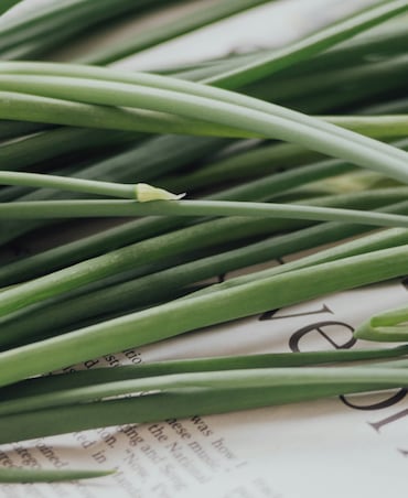 7 Health Benefits Of Lemongrass