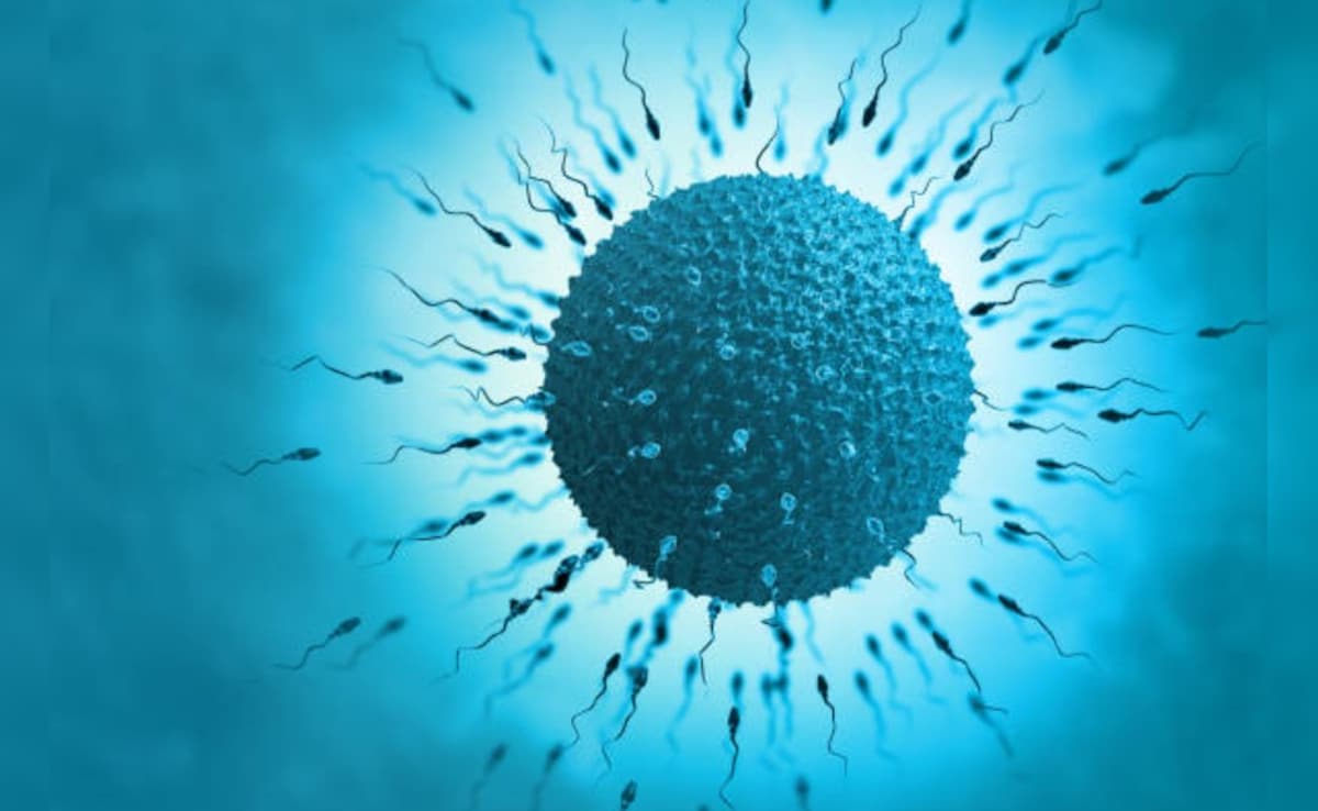 Latest and Breaking News on NDTV Latest and Breaking News on NDTV