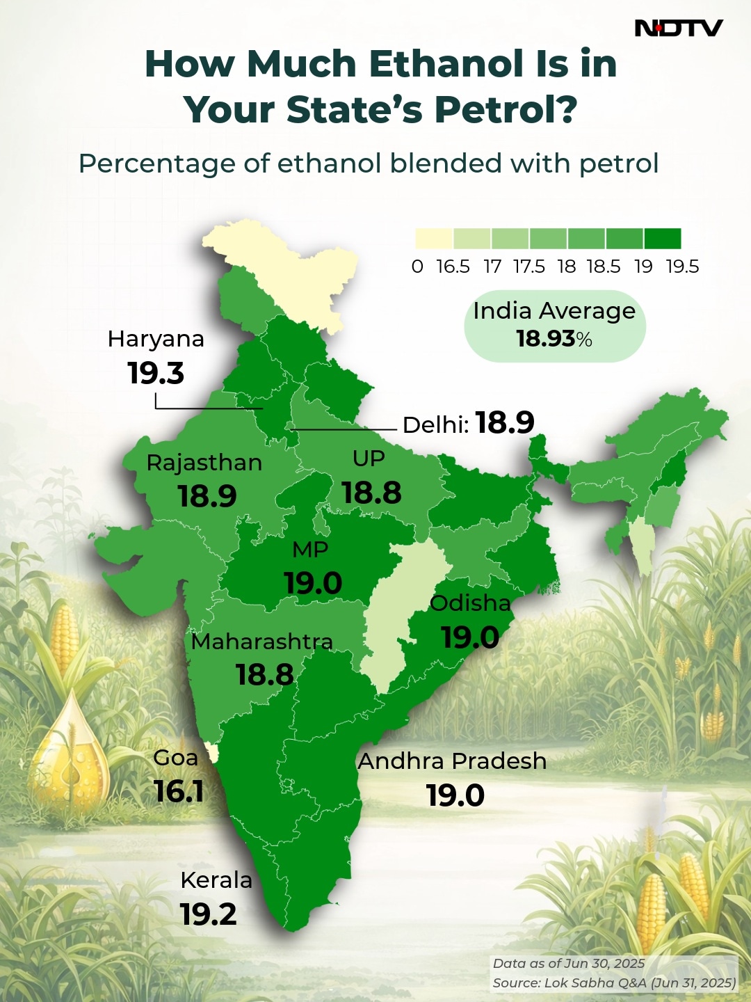 Latest and Breaking News on NDTV