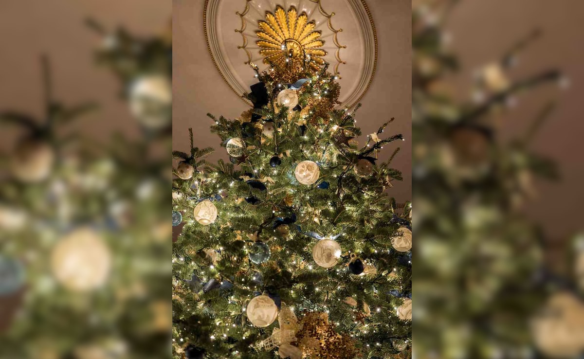 Latest and Breaking News on NDTV Latest and Breaking News on NDTV