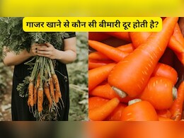 गाजर खाने से कौन सी बीमारी दूर होती है? कच्चा गाजर खाने से क्या फायदा होता है?