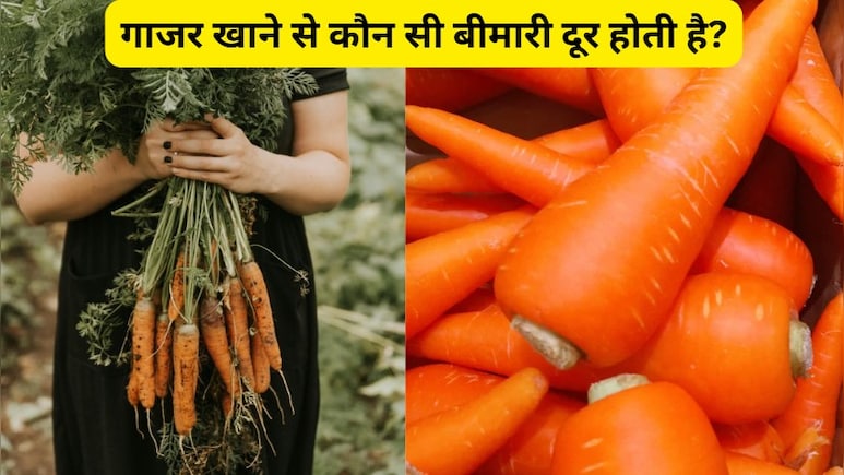 गाजर खाने से कौन सी बीमारी दूर होती है? कच्चा गाजर खाने से क्या फायदा होता है?