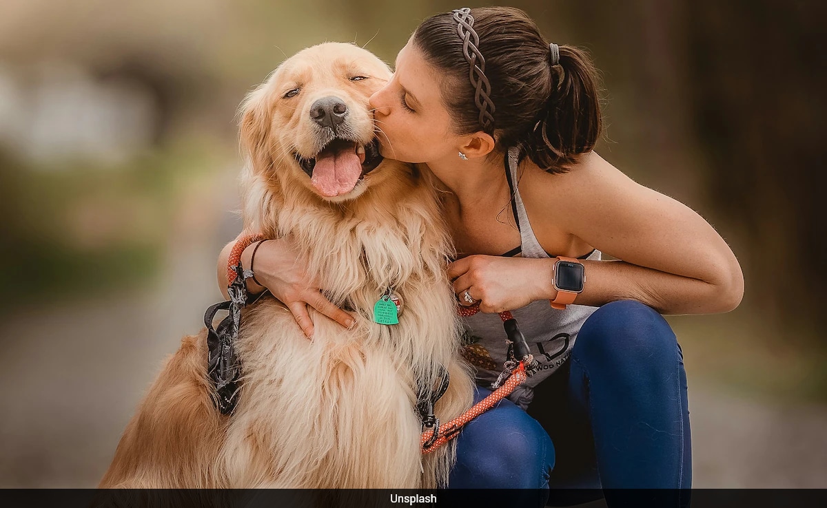 Cute But Cruel? Research Shows Popular Pet Videos Often Cause Stress