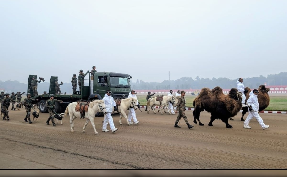 Latest and Breaking News on NDTV