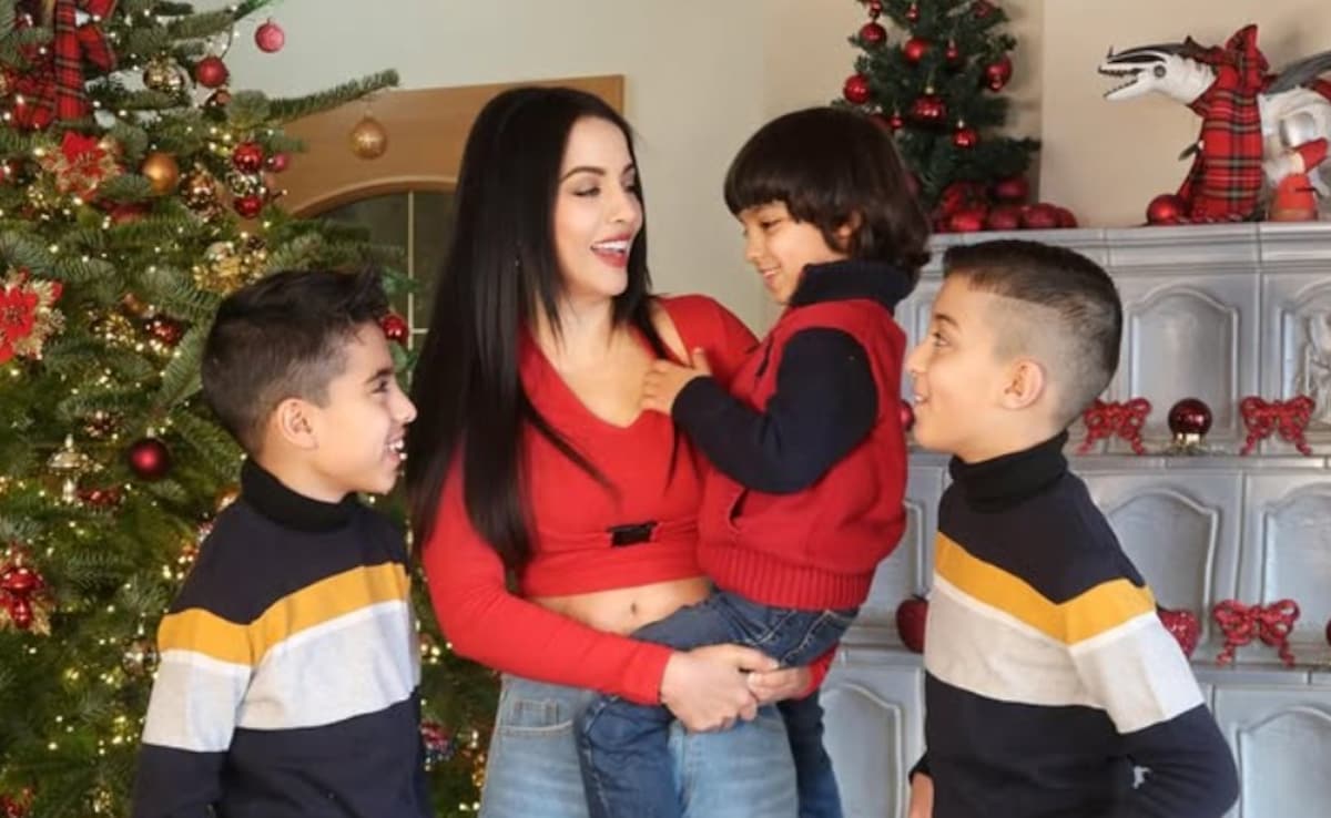 Amid Domestic Abuse Case, Celina Jaitly Spends First Christmas Away From Kids: "Hurts So Much"