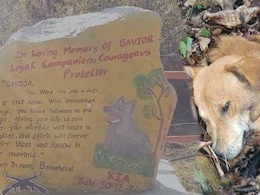 IED पर बैठकर शहीद होने वाले स्नाइपर डॉग राजू को क्‍यों नहीं भूल पाएंगे CRPF जवान? झकझोर देगी बल‍िदान की कहानी