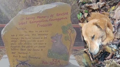 IED पर बैठकर शहीद होने वाले स्नाइपर डॉग राजू को क्&zwj;यों नहीं भूल पाएंगे CRPF जवान? झकझोर देगी बल&zwj;िदान की कहानी