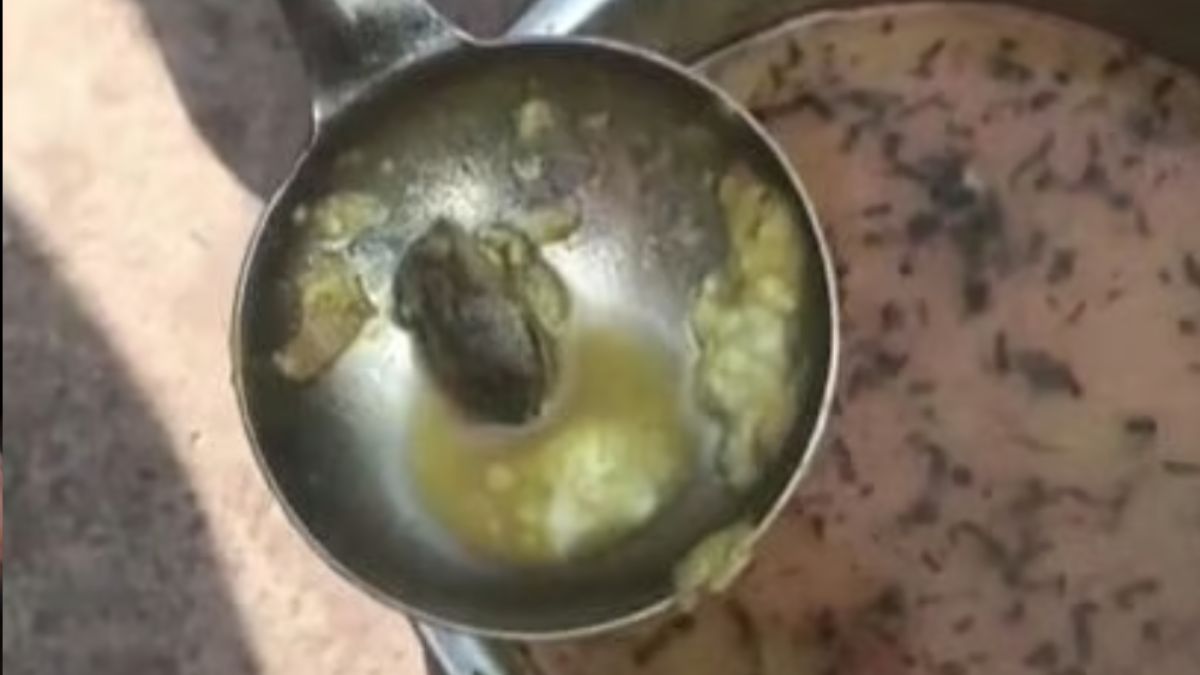 Dead Frog Found In Mid-Day Meal In Madhya Pradesh School