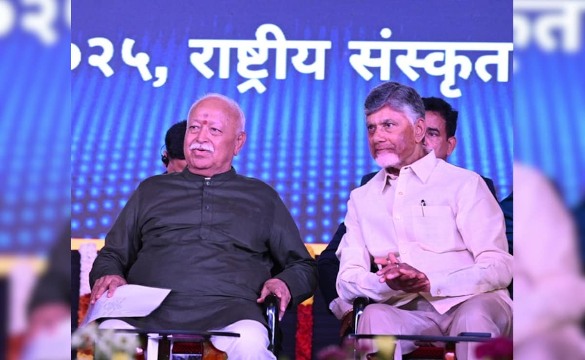 The Art of Baking: From Classic Bread to Artisan Pastries