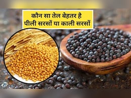 काली सरसों के फायदे क्या हैं? काली सरसों और पीली सरसों में से कौन सा बेहतर है, जान‍िए यहां