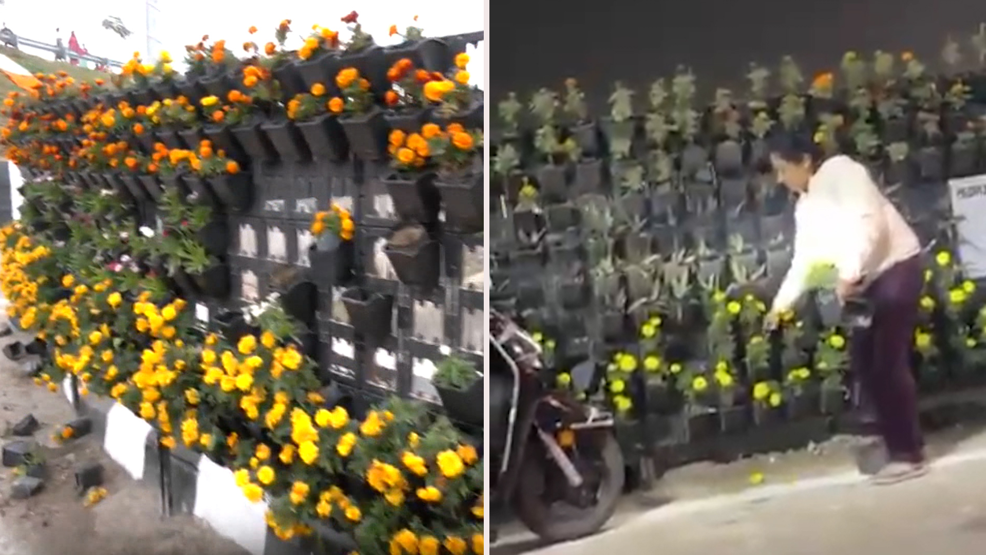 Lucknow Residents Steal Flower Pots Placed On Roadside For PM Modi's Event