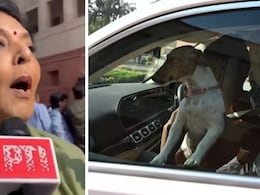 "Woof Woof": Congress' Renuka Chowdhary 'Barks' In Bite On Dog Row