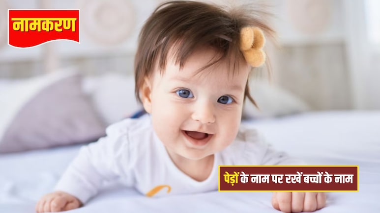 Unique Baby Names Inspired by Trees: बच्चे को देनी है यूनिक पहचान? पेड़ों के नाम पर रखें नाम, सुनकर हर कोई करेगा तारीफ, देखिए ये लिस्ट