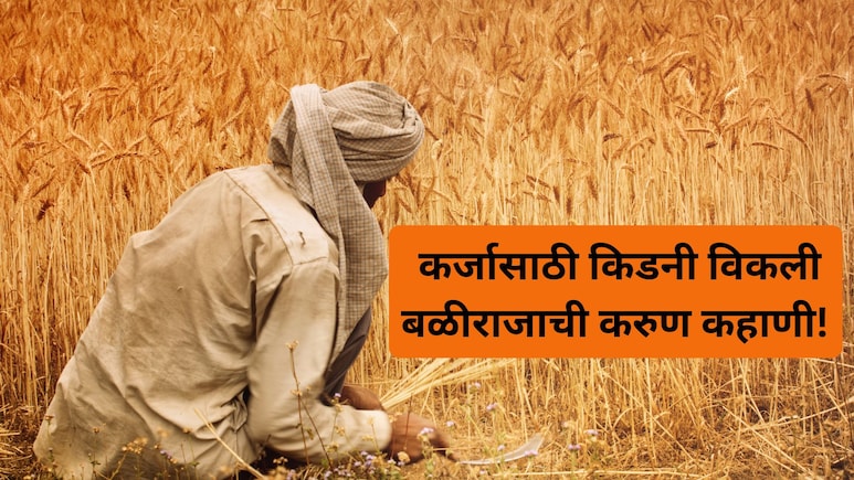 Chandrapur News: कर्जासाठी सावकाराचा त्रास, शेतकऱ्याला किडनी विकायला लावली, भयंकर प्रकाराने महाराष्ट्र हादरला